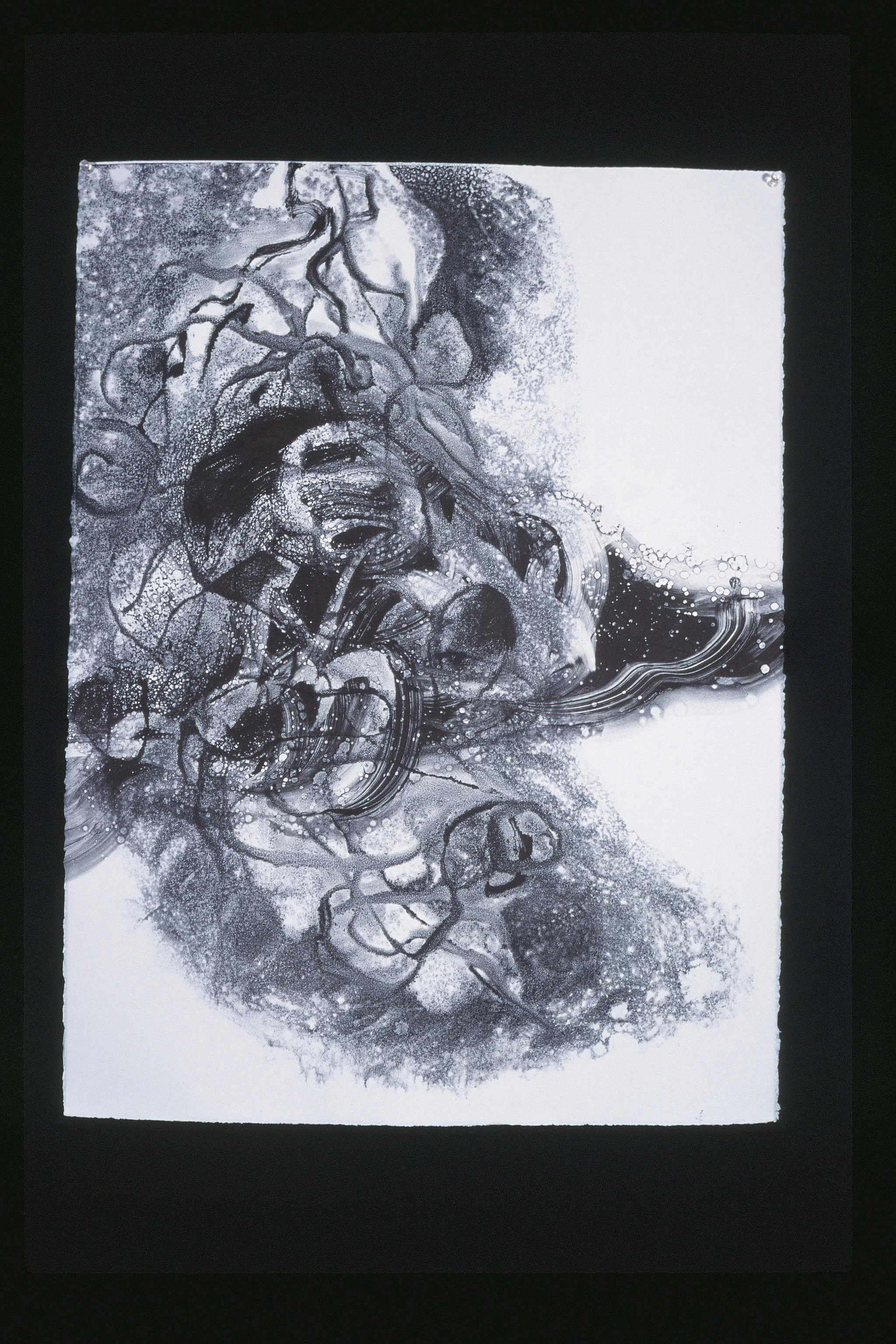 Drawings & Monotypes — Yasuko Bush